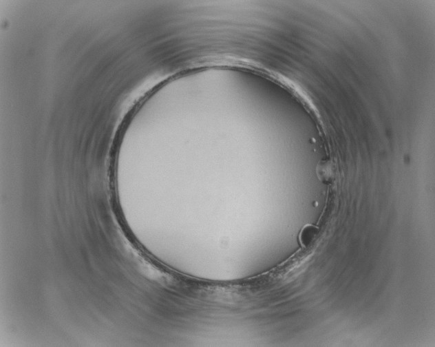 X0000062890995200602031802