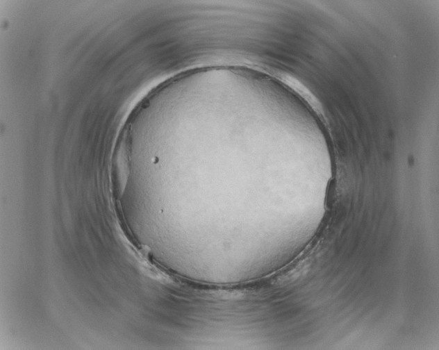 X0000062890996200602031802