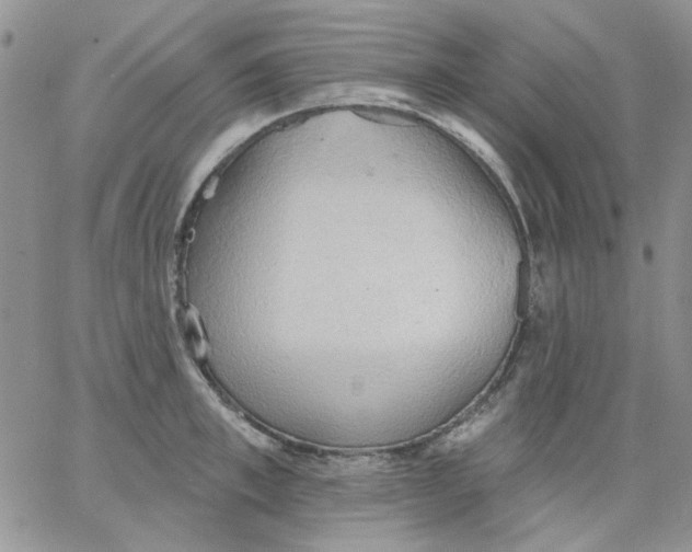 X0000062890997200602031802