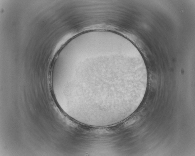 X0000062890998200602031802