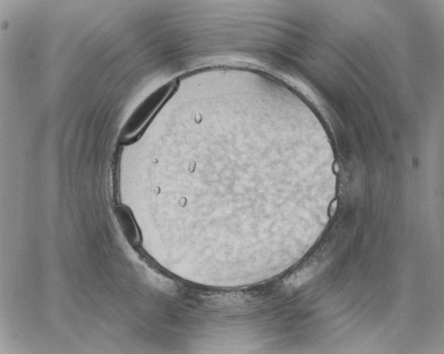 X0000062890999200602031802