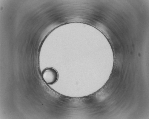 X0000062891000200602031802