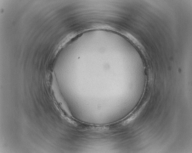 X0000062891001200602031802