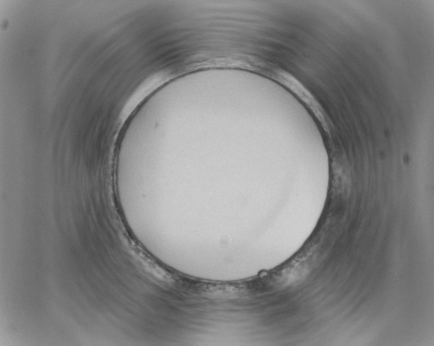 X0000062891002200602031802