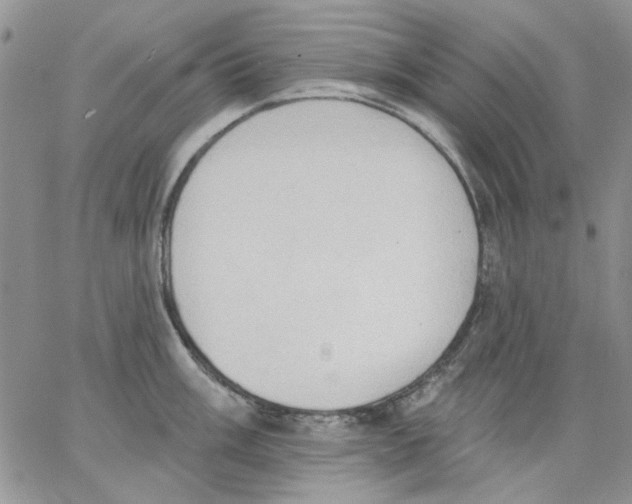 X0000062891003200602031802