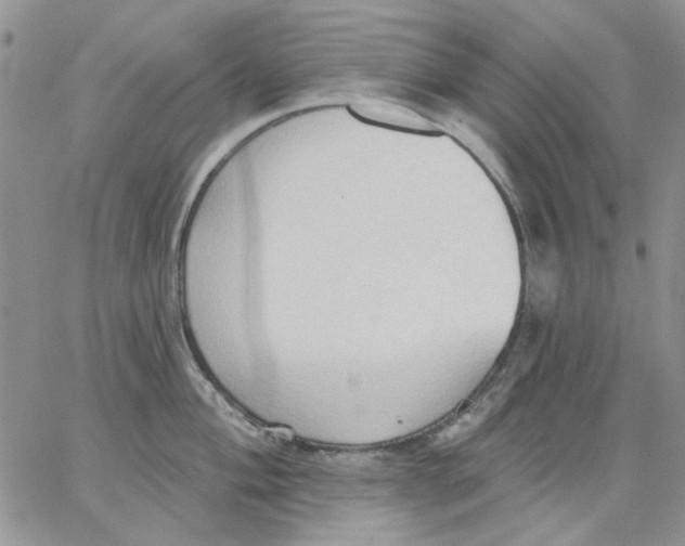 X0000062891004200602031802