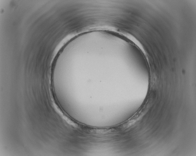 X0000062891005200602031802