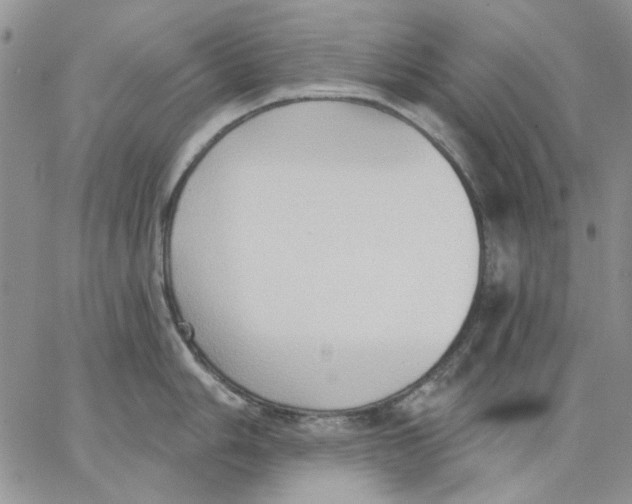 X0000062891006200602031802