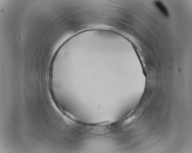 X0000062891007200602031802