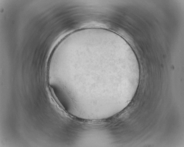 X0000062891008200602031802