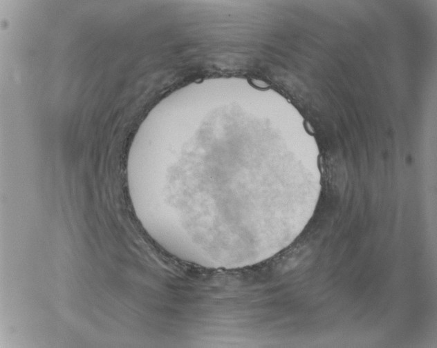 X0000062891009200602031801