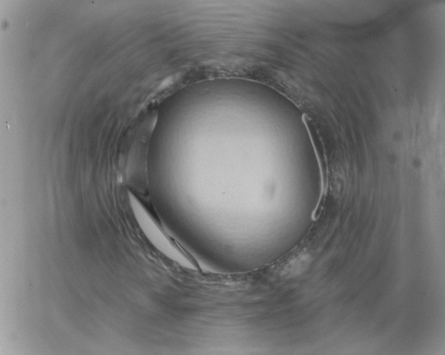 X0000062891010200602031802