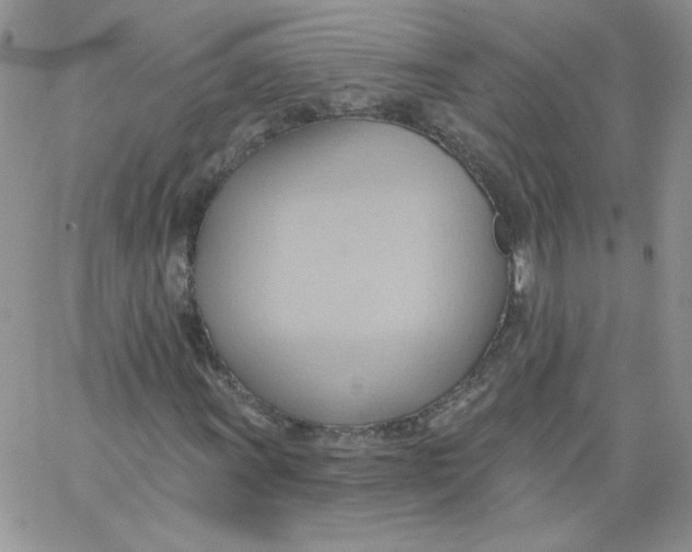 X0000062891011200602031802