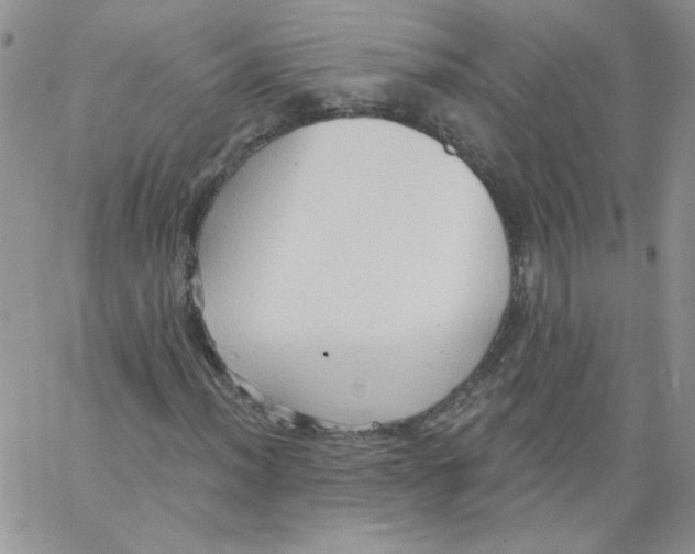 X0000062891012200602031802