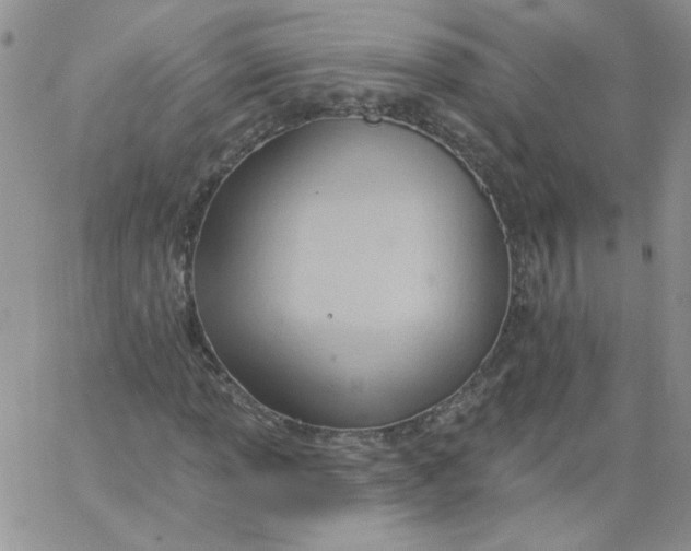 X0000062891013200602031802