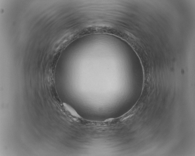 X0000062891014200602031802