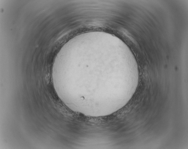 X0000062891015200602031802