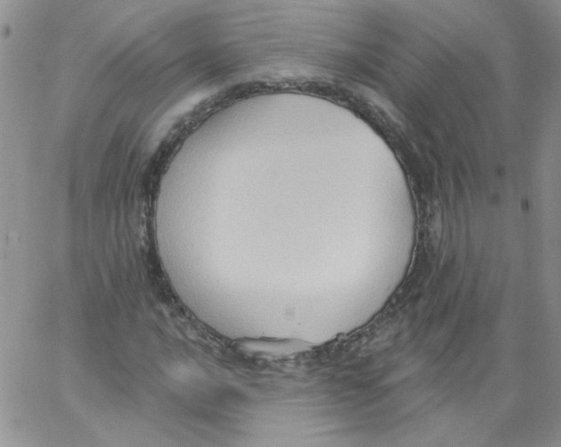 X0000062891016200602031802