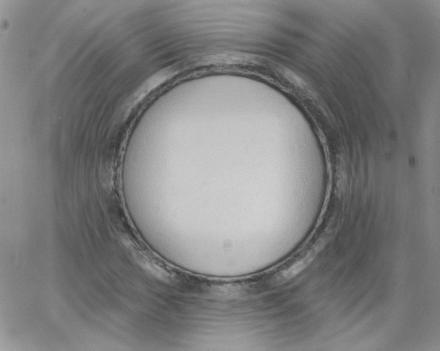 X0000062891017200602031802