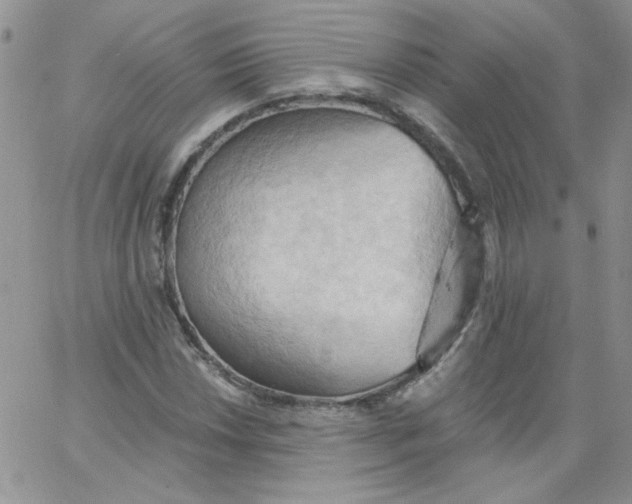 X0000062891018200602031802