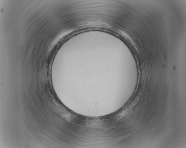 X0000062891019200602031802