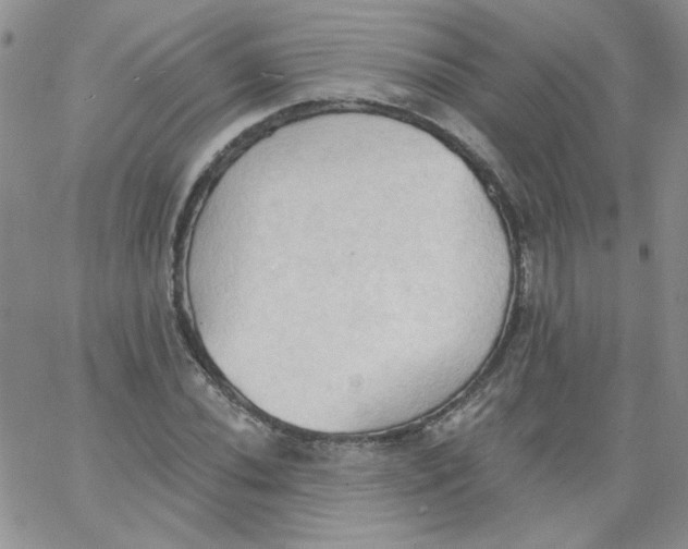 X0000062891020200602031802