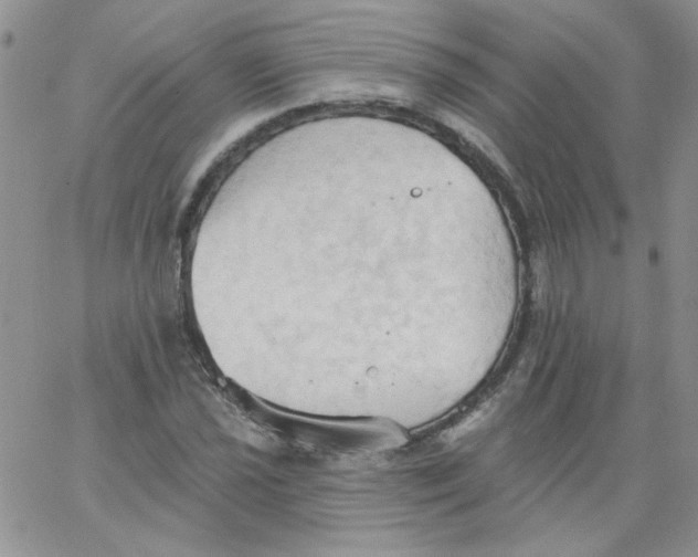 X0000062891021200602031802