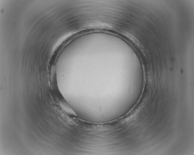 X0000062891022200602031802