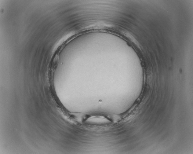 X0000062891026200602031802