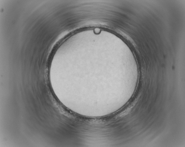 X0000062891029200602031802