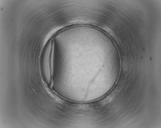 X0000062891030200602031802