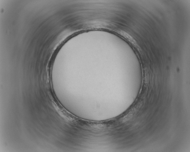 X0000062891031200602031802