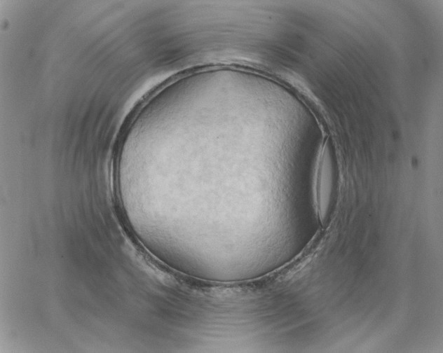 X0000062891032200602031802