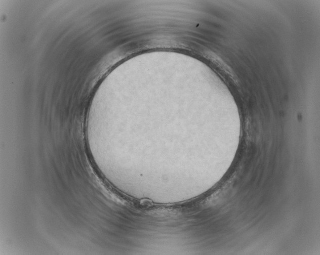 X0000062891033200602031802