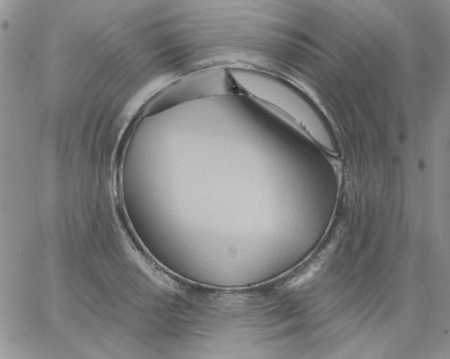 X0000062891034200602031802