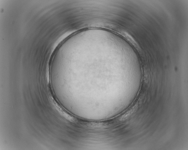 X0000062891036200602031802