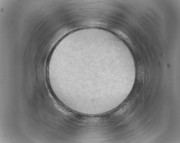 X0000062891039200602031802