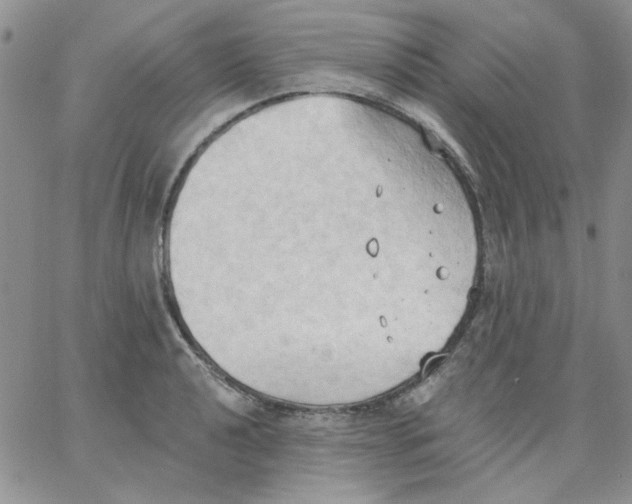 X0000062891040200602031802