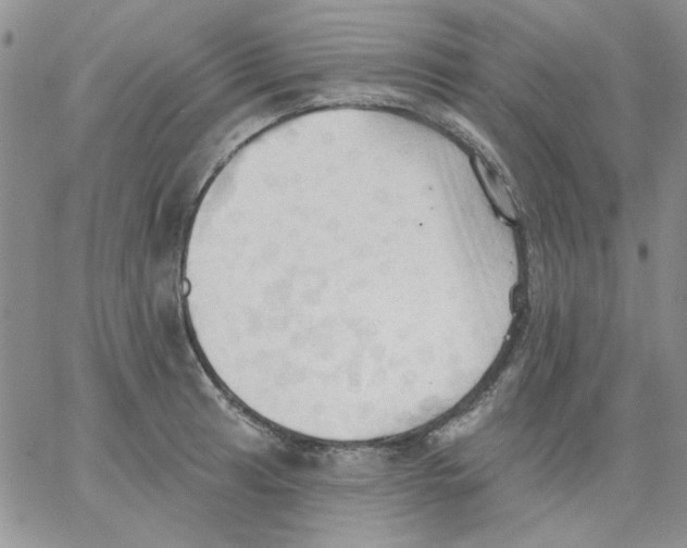 X0000062891041200602031802