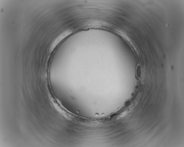 X0000062891042200602031802