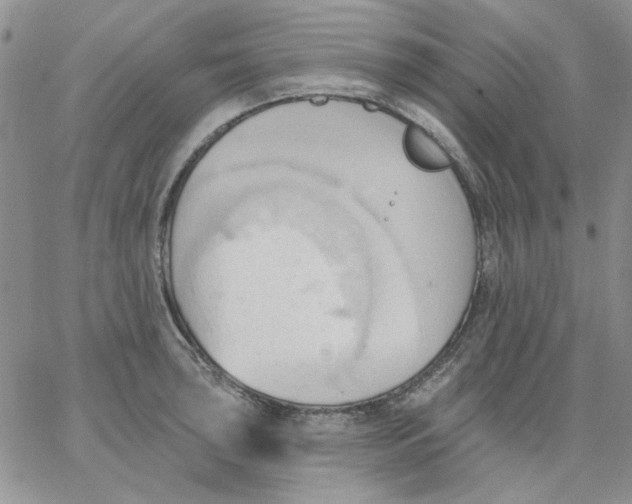 X0000062891043200602031802