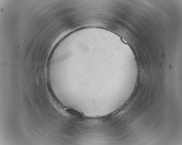 X0000062891044200602031802