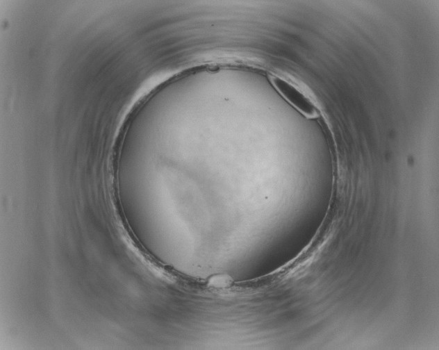 X0000062891045200602031802