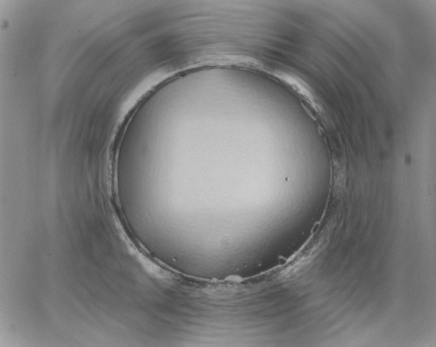 X0000062891046200602031802