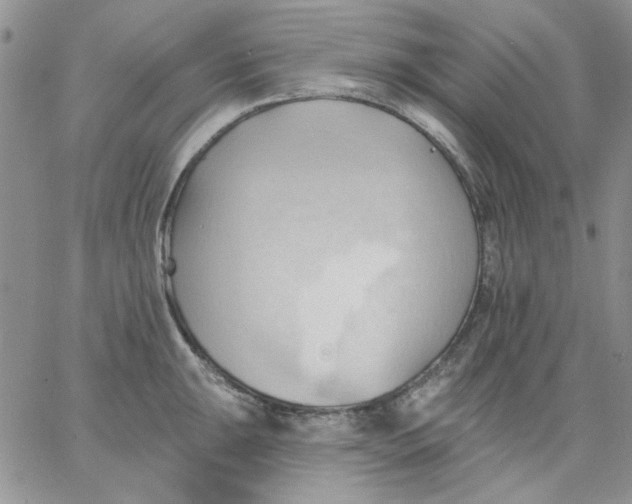 X0000062891047200602031802