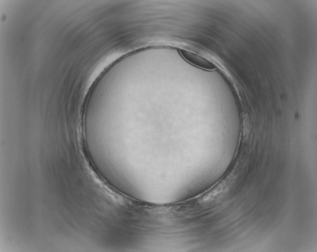 X0000062891048200602031802