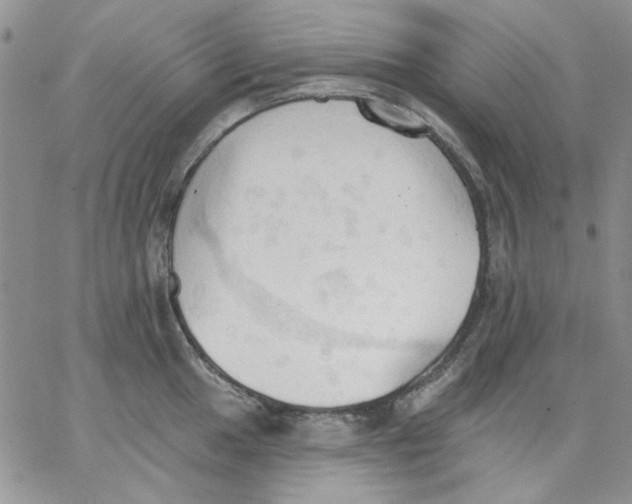 X0000062891049200602031802