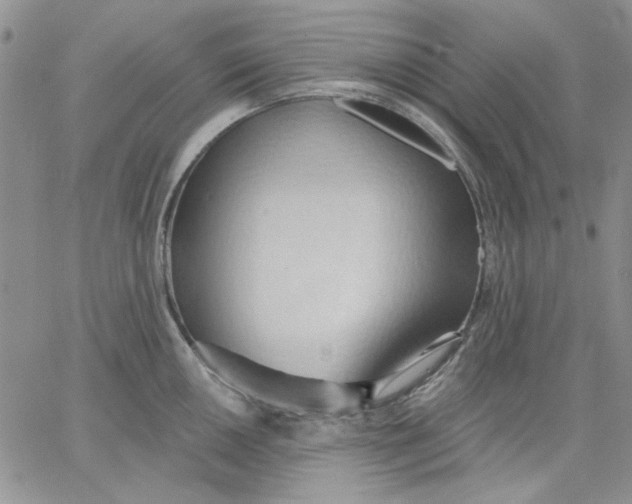 X0000062891050200602031802