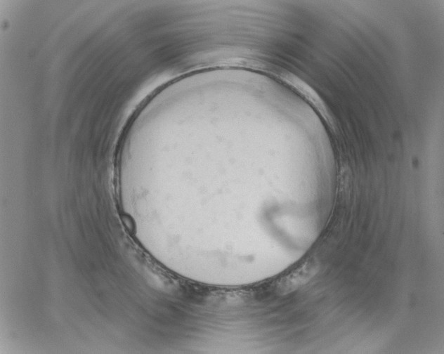 X0000062891051200602031802