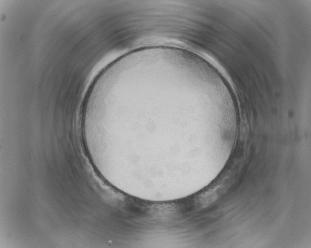 X0000062891053200602031802